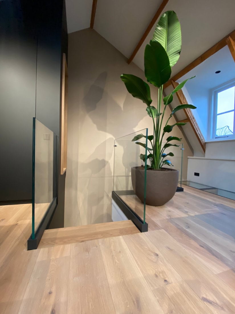 Groene plant in grote pot in modern interieur met houten vloer en raam.